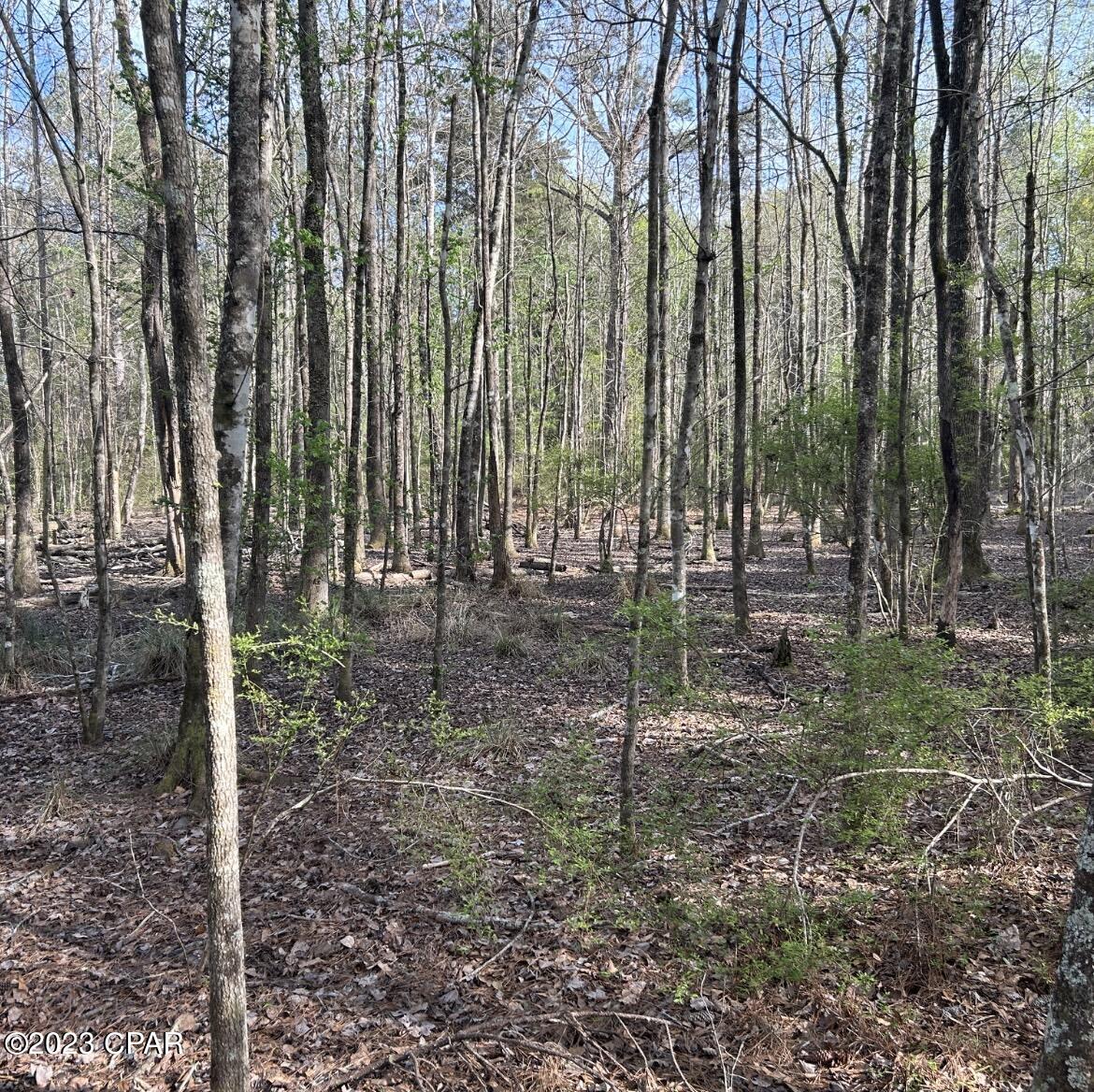 No Named Subdivision - Land