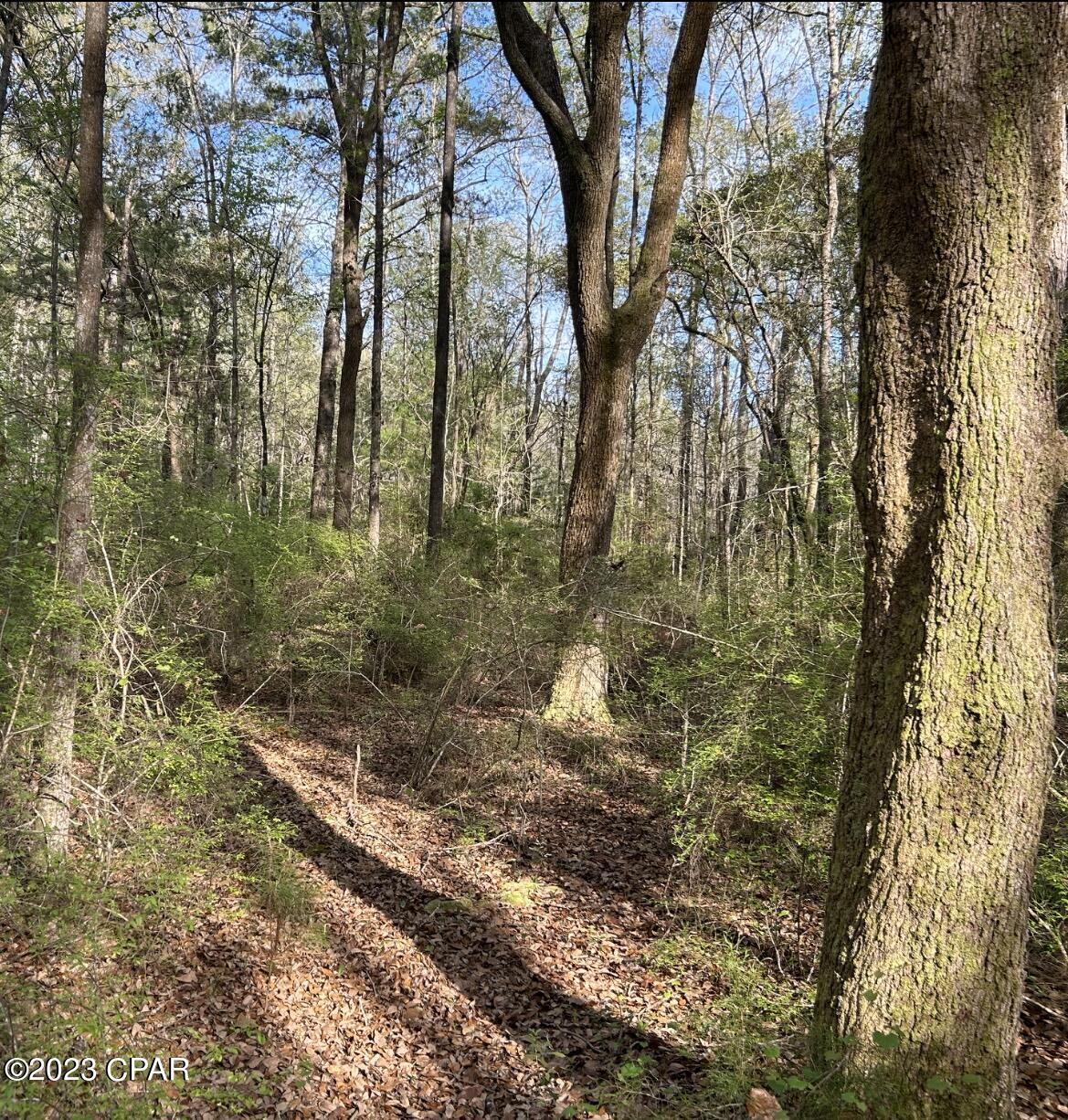 No Named Subdivision - Land