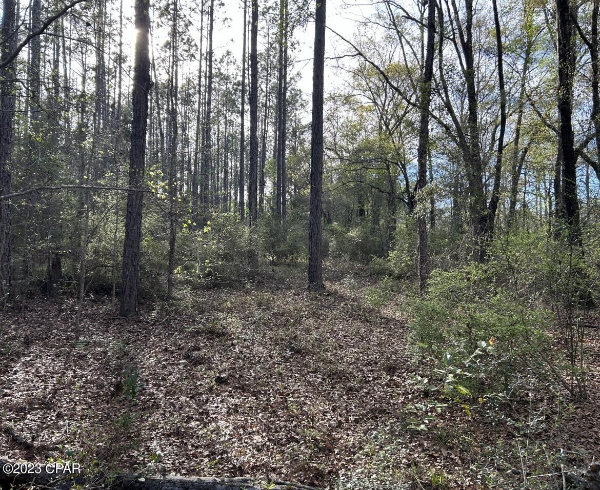 No Named Subdivision - Land