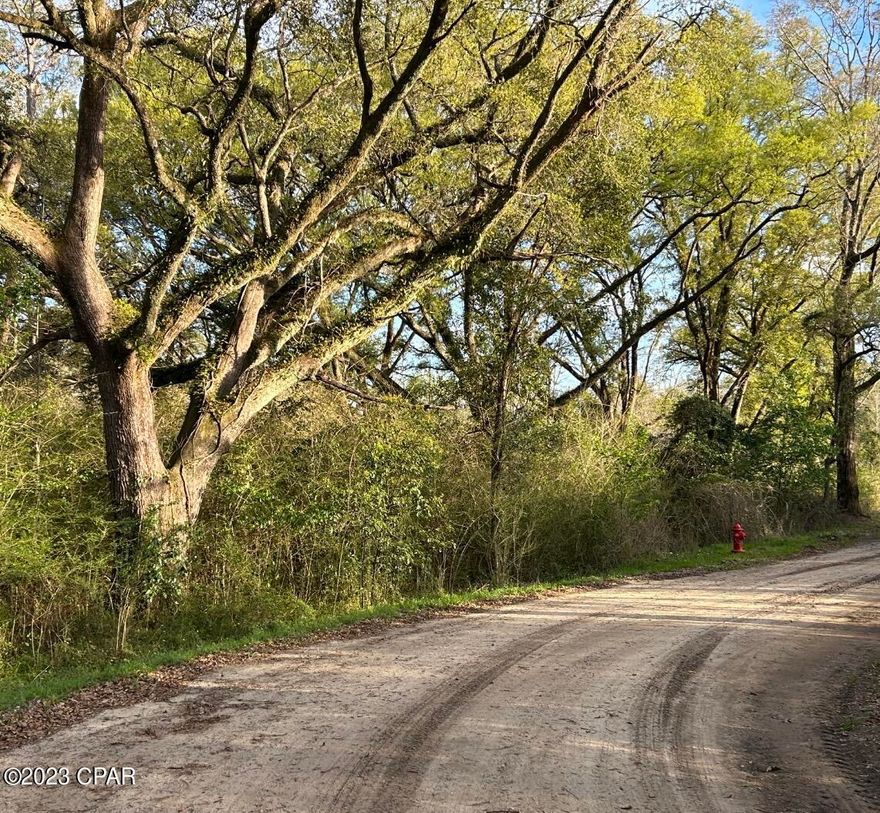 Not far from the Alabama state line lies this great Florida hunting tract that's loaded with deer and mature timber. The timber consists of sections of pine turning over to areas of hardwood with some of the trees dating back to at least one hundred years. And adding to the beauty of this grown timber is a nice perennial creek that can be found running through the width of the property towards its western end. And if hunting is your thing, then you'll certainly be impressed by the overwhelming sign of both small and large game. Or, it may be that you're looking for a place to build or recreate for the weekends; the property would be ideal being that part of the land lies within the city limits of Noma, FL. allowing easy access to power and city water. Schedule your private showing today.
