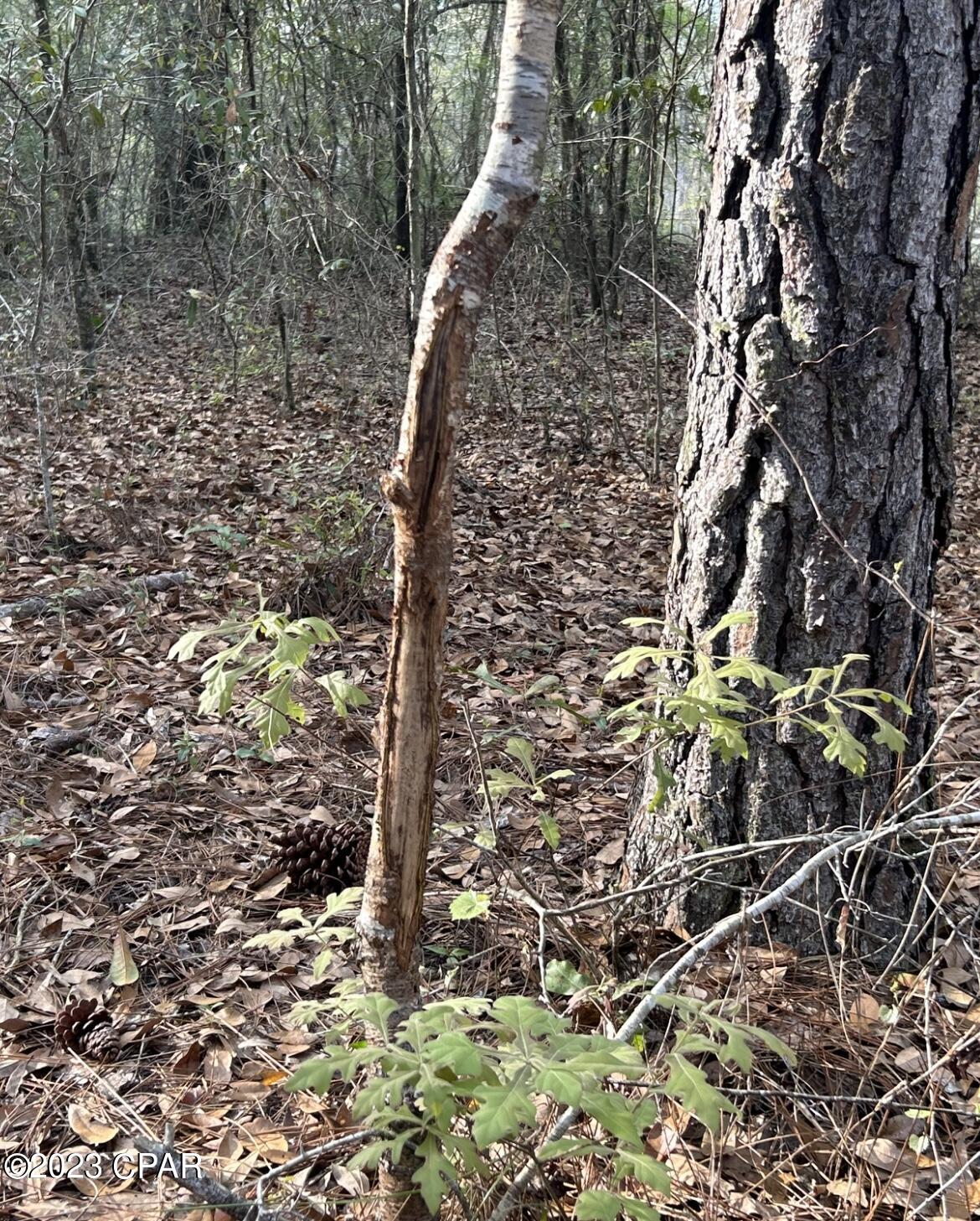 No Named Subdivision - Land