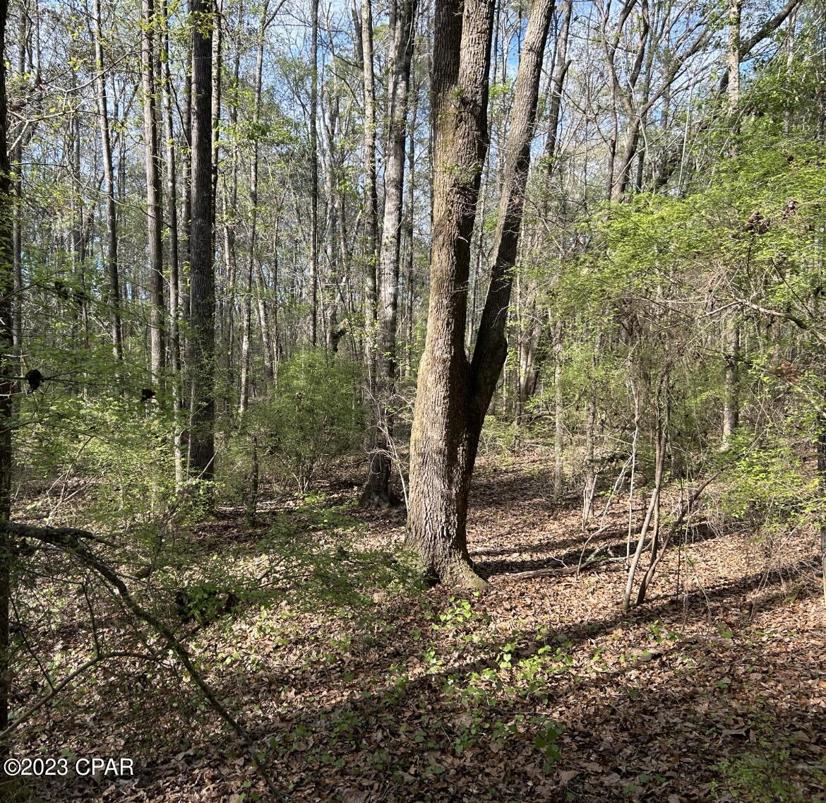 No Named Subdivision - Land