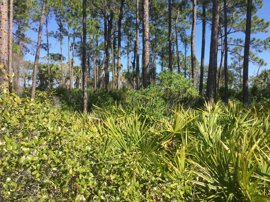 Beautiful building lot in desirable newer subdivision Secluded Dunes. Gulf beach access and Bay water views will be amazing from the second floor of the dream home built here.