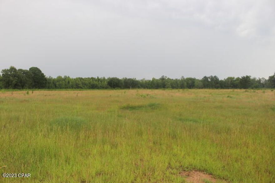 Cleared land for your home and bring your cows and horses.  Short drive to Hwy 2 which will take you to Hwy 231.  North to Dothan AL and South to Panama City to Beaches.  Minutes to Graceville.  Beautiful land and top notch soil for your garden.   No well or septic but the power will be easy to connect.