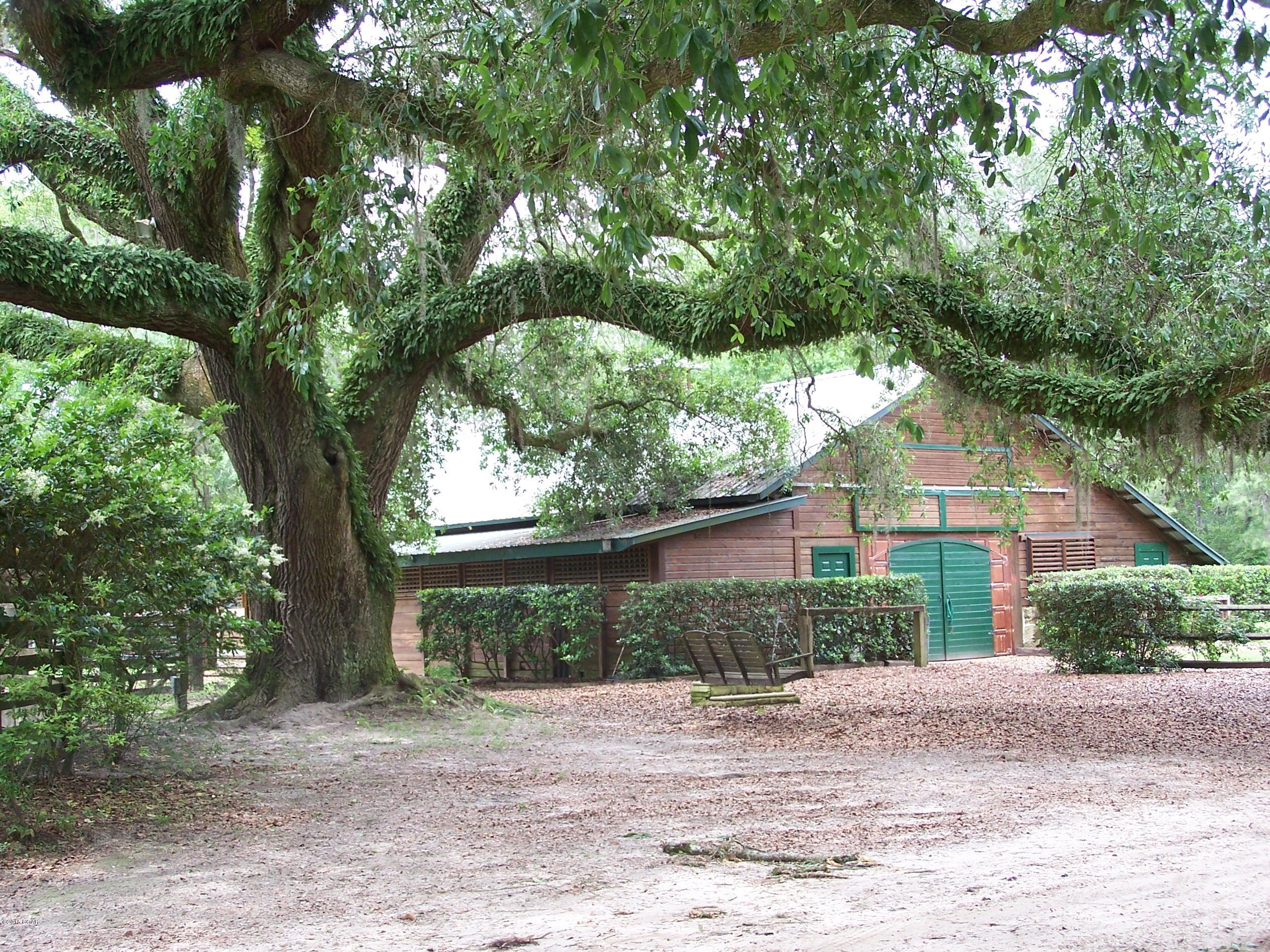 Reedy Creek - Residential