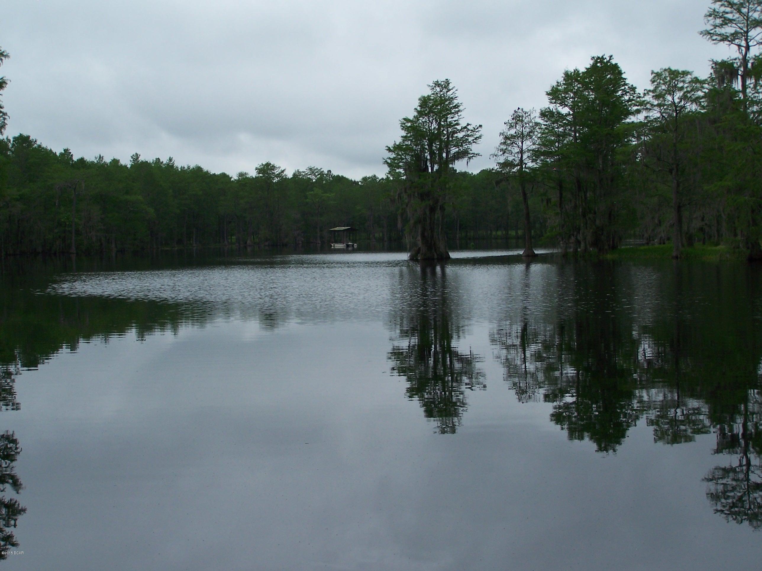 Reedy Creek - Residential
