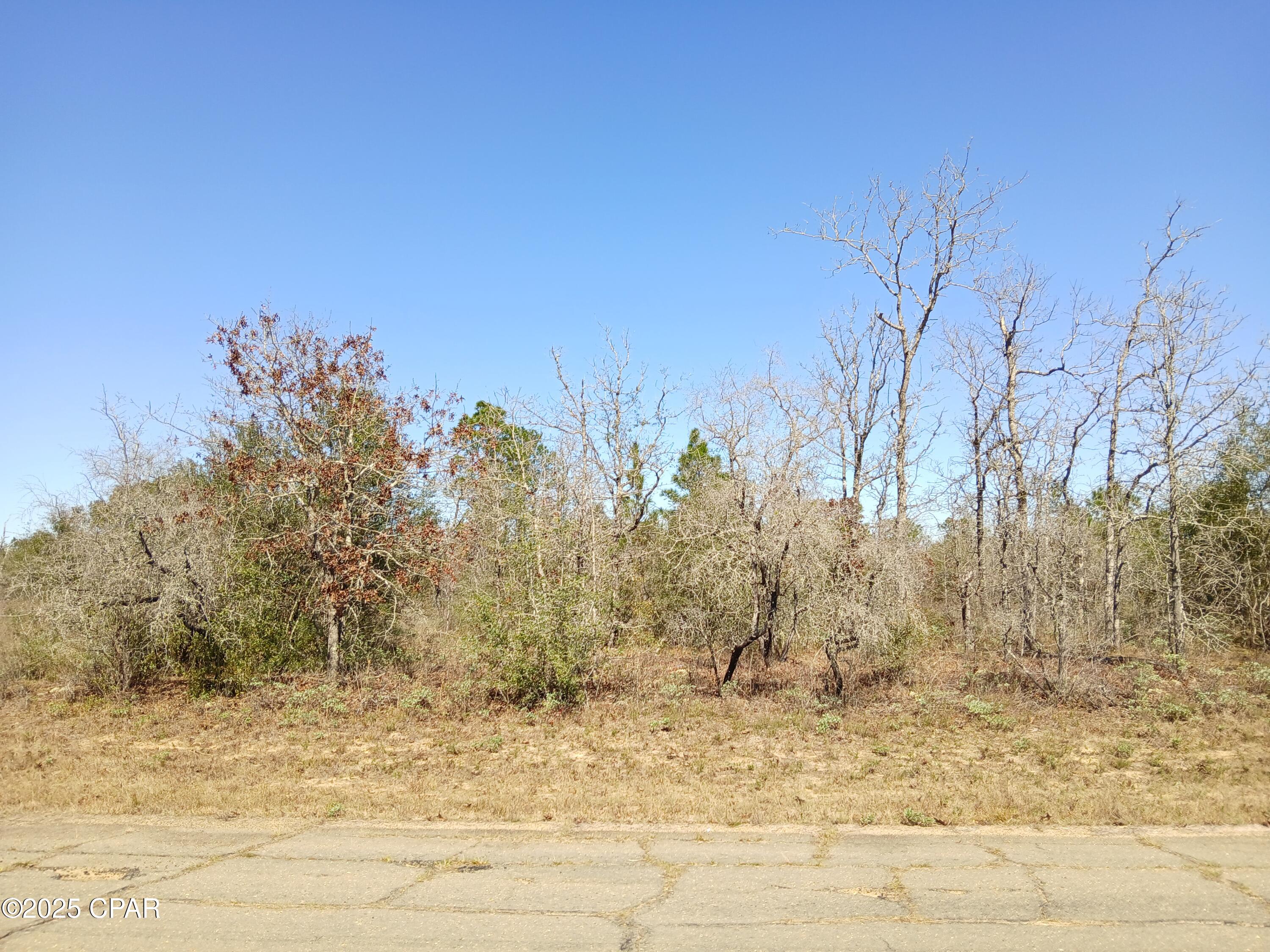 Sunny Hills Unit 11 - Land