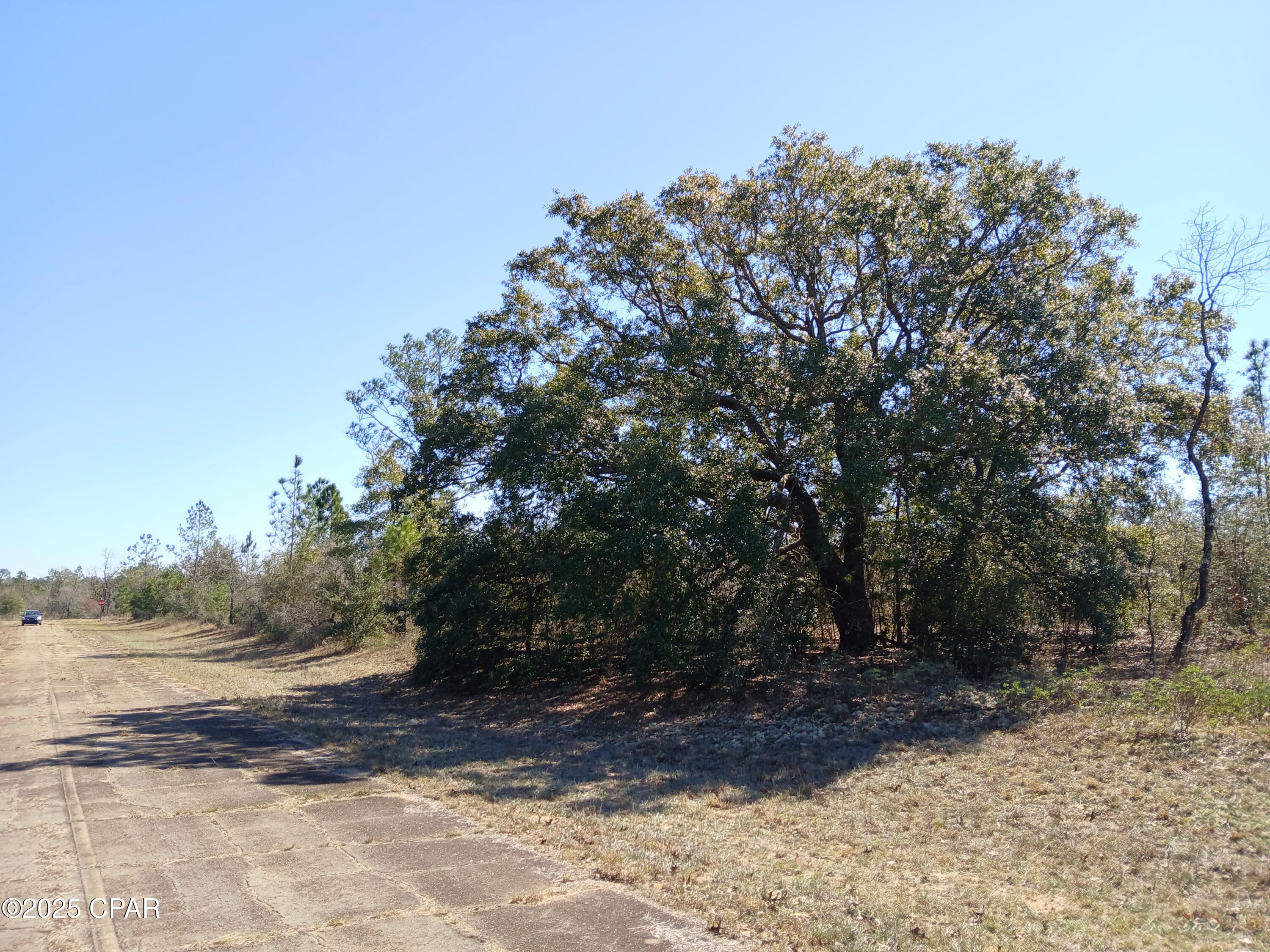 Sunny Hills Unit 11 - Land