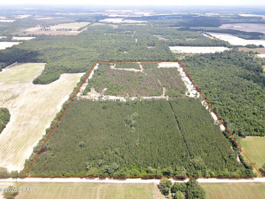 This 74± acre hunting and recreational property in Malone, Florida has been extensively improved and thoughtfully managed with whitetail deer hunting as the primary focus. Designed and maintained by a dedicated gamekeeper, this tract offers an excellent setup for serious hunters looking for a property with established habitat improvements, strong deer genetics, and outstanding future hunting potential.

The longleaf pine portions of the property were recently prescribed burned in March, creating exceptional new undergrowth and native browse production that is already providing quality forage and cover for deer and other wildlife. The habitat improvements throughout the tract have helped create a healthy environment capable of holding and growing mature bucks.

This property has a proven hunting history, with quality deer already harvested over the years, while several mature bucks were intentionally passed, allowing excellent carryover potential heading into the upcoming hunting seasons. The combination of habitat management, natural browse, bedding cover, and supplemental mast-producing trees makes this a highly attractive property for wildlife year-round.

A major highlight of the property is the extensive planting of wildlife feed trees specifically selected to benefit deer populations. Approximately 50 trees have been planted across the property, with a strong emphasis on chestnut varieties known for attracting deer and producing high-value forage.

Trees Planted:

- Apple Trees
- Pear Trees
- Hybrid Chestnuts
- Late Drop Hybrid Chestnuts
- Persimmon Trees
- Late Drop Persimmons
- Hazelnuts
- Deer Plums

The majority of the plantings consist of Hybrid Chestnuts and Late Drop Chestnuts, helping provide an extended seasonal food source for wildlife.

The property also offers future timber income potential. Approximately 34± acres of loblolly pines located along the roadside portion of the tract are expected to be ready for thinning within the next few years, giving a future owner the opportunity to generate income while continuing to improve wildlife habitat and overall property value.

Additional improvements include a storage container with an attached lean-to, providing a functional setup for securely storing feed, hunting equipment, tools, or farm implements while offering covered space for tractors, ATVs, or additional utility equipment.

In addition to its recreational value, this property would make an outstanding private homesite or country retreat. The quiet rural setting, privacy, and abundance of wildlife create the ideal environment for someone looking to build a home surrounded by nature while still enjoying excellent hunting opportunities right out the back door.

With a great mix of longleaf habitat, managed wildlife improvements, future timber income potential, and proven hunting success, this property is ideal for someone looking for a turnkey recreational tract with homesite potential in Northwest Florida.