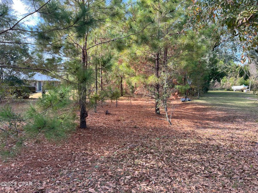 Hi and dry are these 2 lots side by side on a paved city street.  Many possibilities here.  Go by and bring all offer's. Convenient to all Marianna Has to offer.