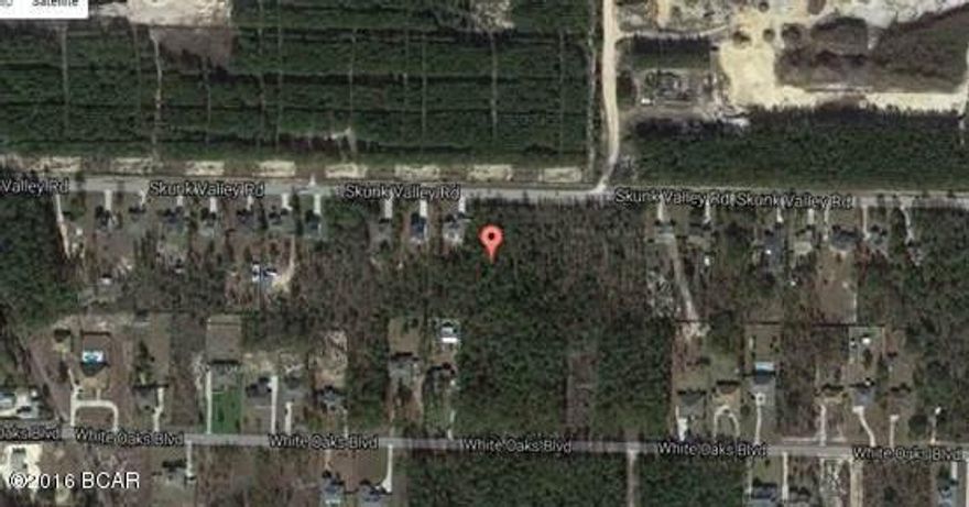 Come build your dream home in one of Bay County's sought after areas, 1 acre home lots you will have tons of room to spread out. come see this beautiful lot today