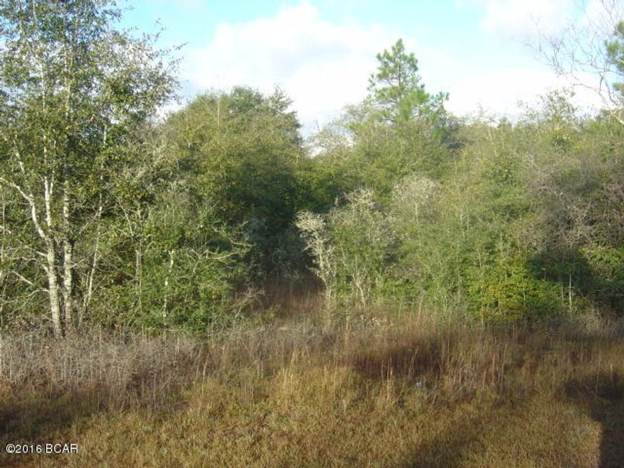 Great lot in Compass Lake in the Hills with all the amenities of CLH including pool, lakes  and others.