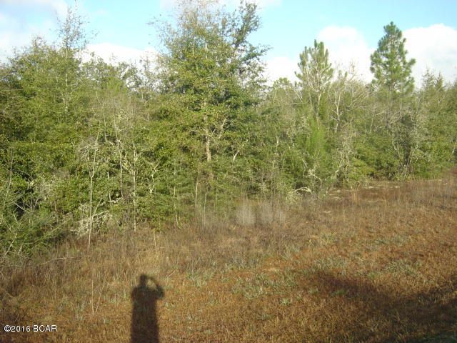 Compass Lake Hills Unit 2 - Land