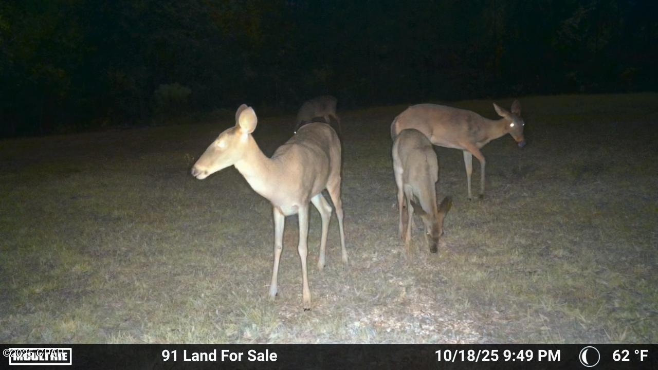 No Named Subdivision - Land