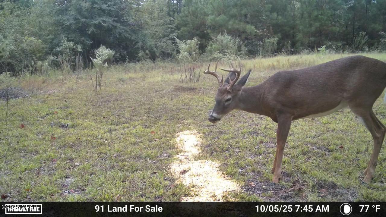 No Named Subdivision - Land