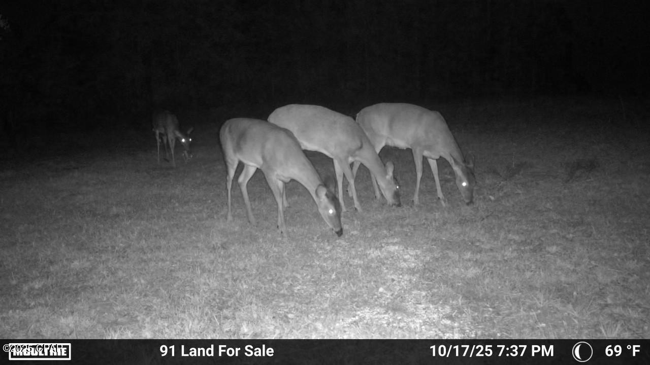 No Named Subdivision - Land