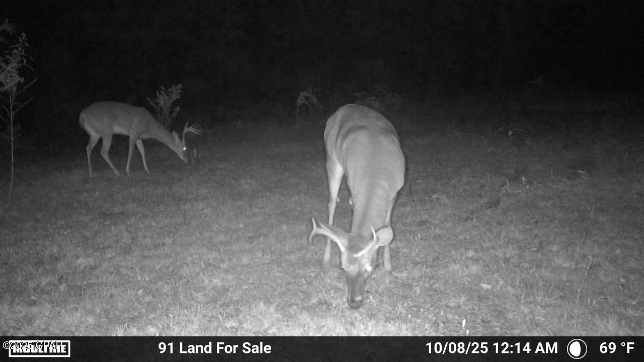 No Named Subdivision - Land