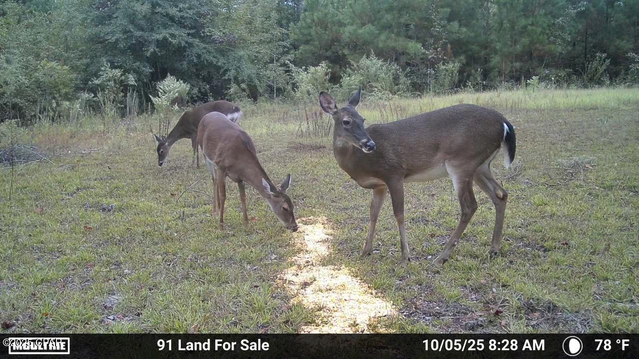 No Named Subdivision - Land