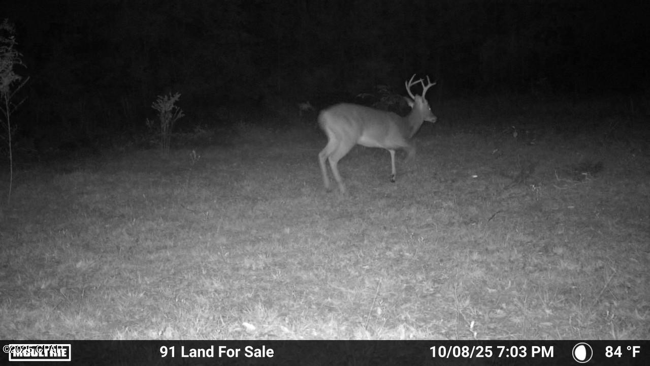 No Named Subdivision - Land