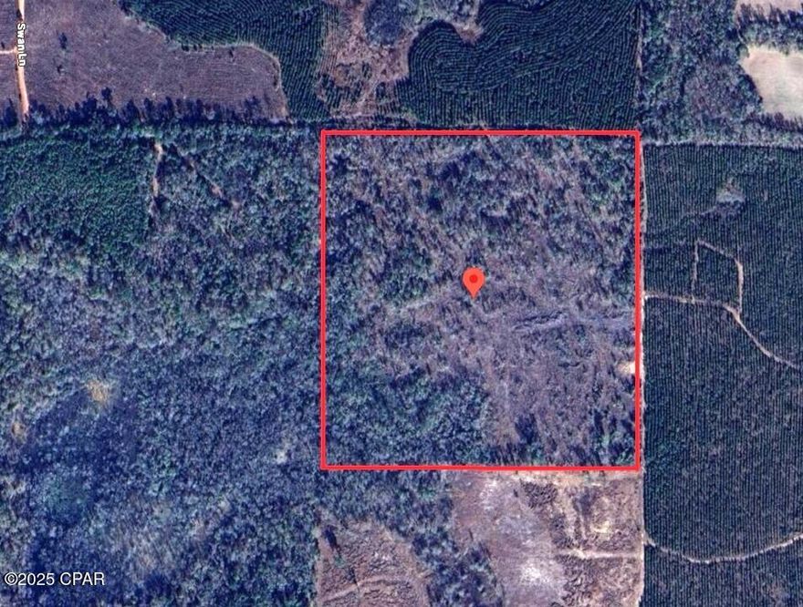 Looking for prime hunting land?  Don't miss this opportunity to own 40 acres of secluded, private land in northern Jackson County—an area known for outstanding deer hunting and abundant wildlife. Whether you're an avid hunter or simply love the outdoors, this property offers the perfect setting for hunting, ATV riding, and other recreational activities.  The land features potential sites for a future home or hunting cabin, offering scenic views and the peace and quiet of nature. If you're looking for a secluded retreat or a sportsman's paradise, this property delivers.  Make this your weekend getaway, hunting retreat, or forever home site today!