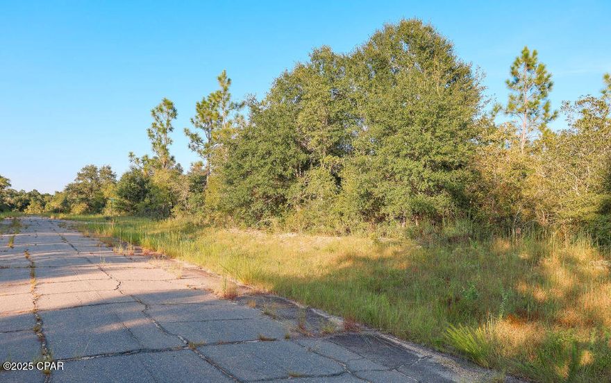 Looking for an affordable Florida land opportunity?  This prime corner lot in the peaceful and growing Sunny Hills community is available
 
 Property Highlights:
 Corner lot offering more space, easier access, and greater privacy
 0.30-acre wooded lot - perfect for your dream home, getaway, or long-term investment
 Zoned residential
 Easy access via well-maintained roads
 Great for building now or holding for the future