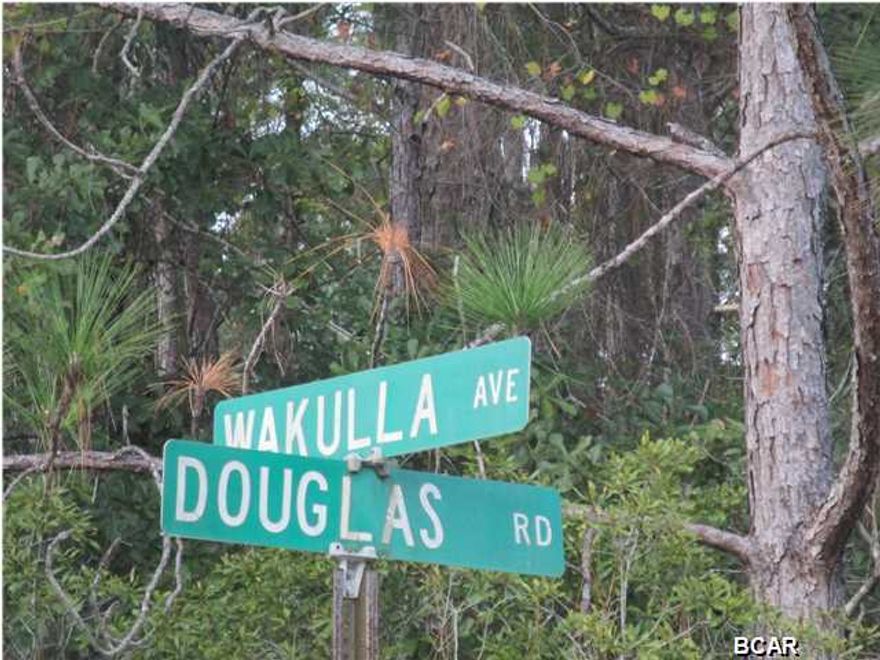 Nice BIG 140' X 170' lot in the Springfield Cedar Grove AREA. This lot is on the CORNER OF two different paved roads in a well established area. A great lot for that PERSONAL HOME or can POSSIBLY BE DIVIDED into TWO or MAYBE EVEN THREE LOTS, allowing a BUYER TO HAVE OPTIONS to build more than one HOME. Buyer to verify any and all land use.