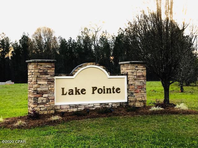 Lake Pointe - Residential