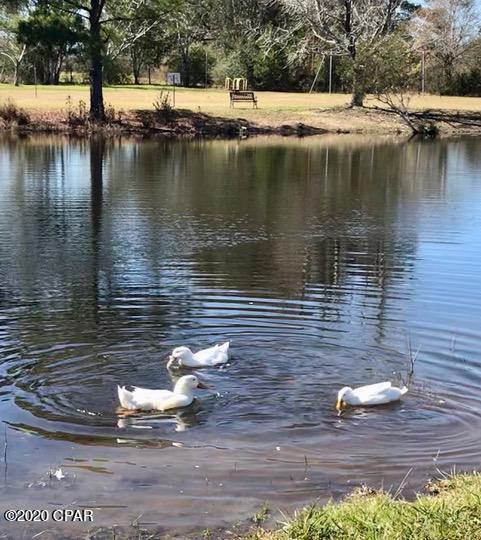 Lake Pointe - Residential
