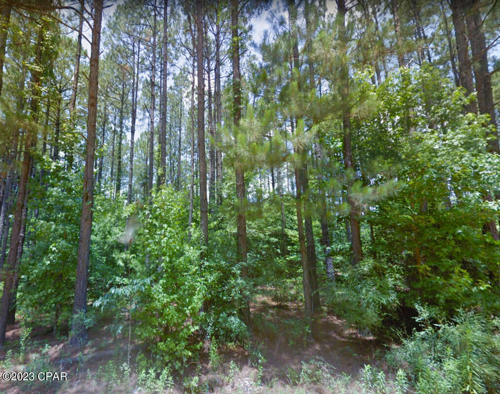 No Named Subdivision - Land