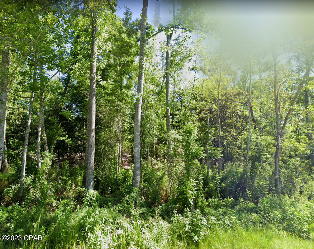 No Named Subdivision - Land