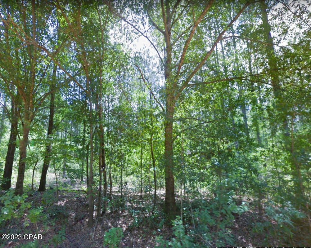 No Named Subdivision - Land