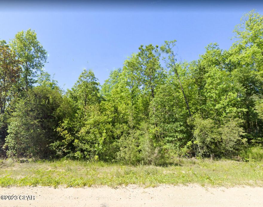 Spend your days in the peace and quiet that this 7.5 acre lot can provide. Nestled at the end of a dead-end street, you don't have to worry about much traffic. Build your Florida dream home, a quaint bungalow, or pick out that ideal manufactured home to place here. The lot has plenty of room for outdoor hobbies, gardening and a few farm animals, if you'd like.  Power at the street - well and septic will need to be installed. Convenient shopping, medical, and schools can be found within 30 minutes in the town of Chipley. Enjoy the peace and quiet this lot offers while also discovering the range of recreational opportunities available nearby. You can find miles of beaches to explore from Panama City Beach, Resota Beach, and others just over an hour from the property.