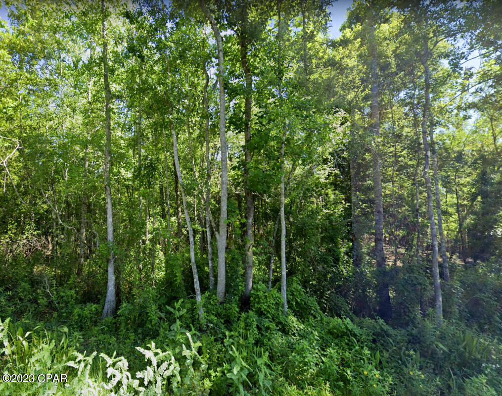 No Named Subdivision - Land