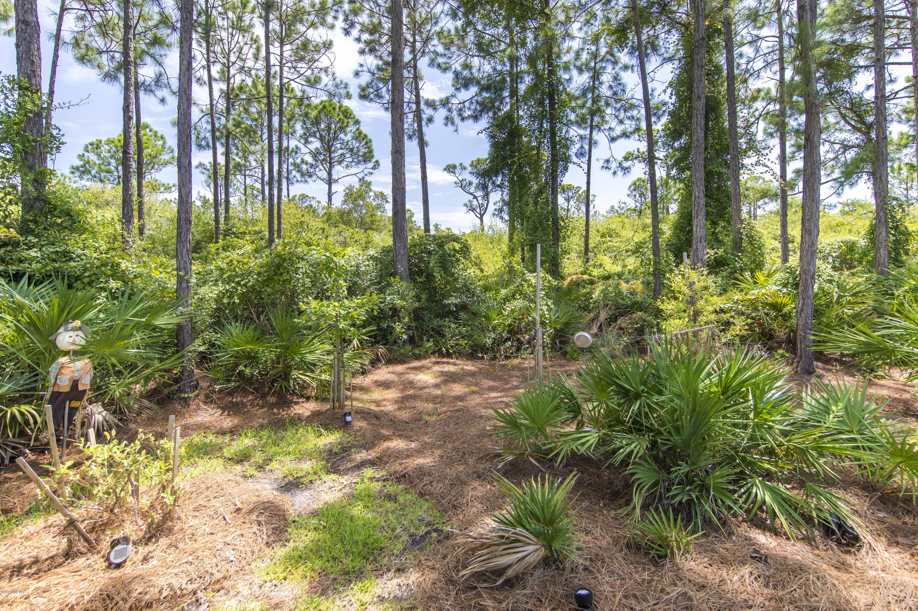 Palmetto Trace Phase III - Residential