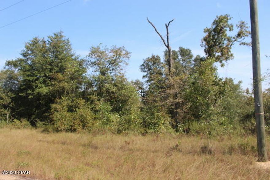 Oversized Wooded residential building lot.  Close drive to Hwy 77.  South to Panama City to Beaches in less than 1 hour.  North to I-10 and into Chipley.  Sunny Hills Golf Club golf course located nearby off of Country Club Blvd.  Just follow Deltona Blvd in less than 10 minutes you are there.  Several lakes with picnic areas for fishing and boating are also nearby to enjoy in your own subdivision.   This is not an over populated subdivision.  Move in now and it will feel like living in the country.