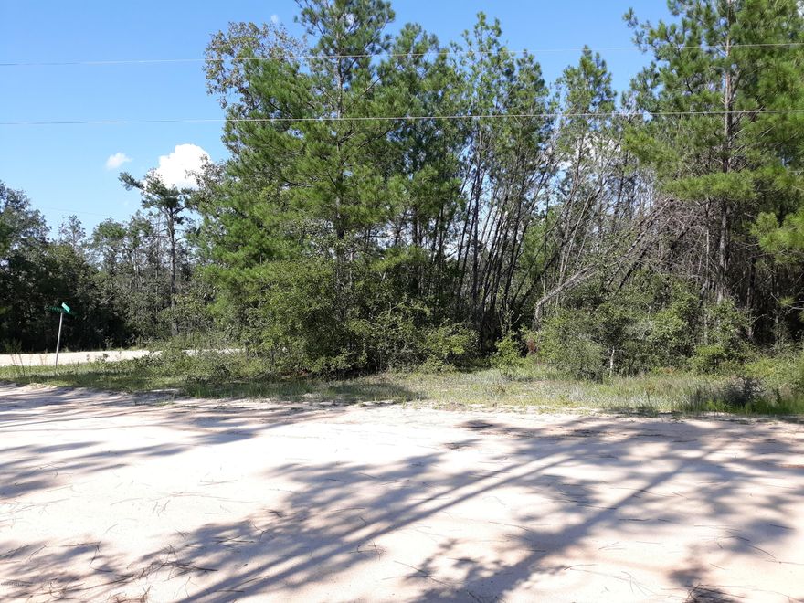 Lot has oak trees and is at the very end on right.  Nice and level on cul-de-sac