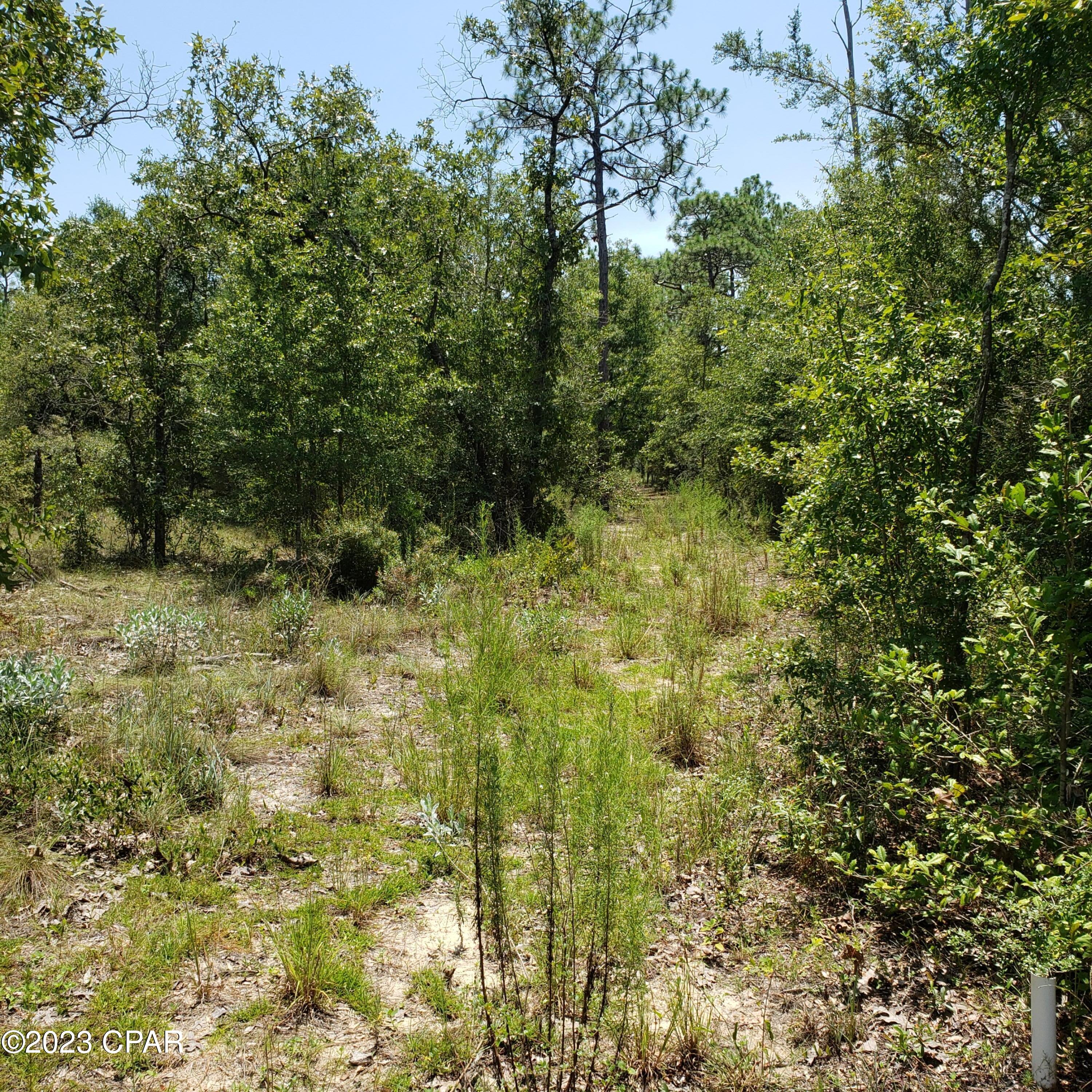 Leisure Lakes 1st Add - Land