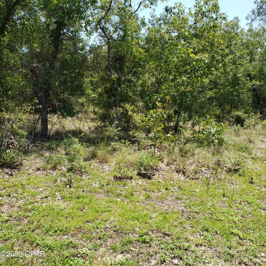 Nice 2.5 Acre Lot in gated subdivision of Leisure Lakes. Live gate guards are on duty weekdays, and property owners have a unique code for entry when guards are not present.  High and dry land has a mix of hardwood and pine trees. Great spot to build that new home or double-wide mobile home. Underground utilities.  You will have private access to 2 nice fishing lakes. Only short distance to either lake. The subdivision offers activities such as swimming, concrete boat launches at both lakes, crystal clear water, fishing, kayaking, boating, basketball court, tennis court, toddler playground, grill stations, picnic tables and more. All this and yet only about 45 minutes from the World's Most Beautiful Beaches.  Check it out today. Possible owner financing is also available.