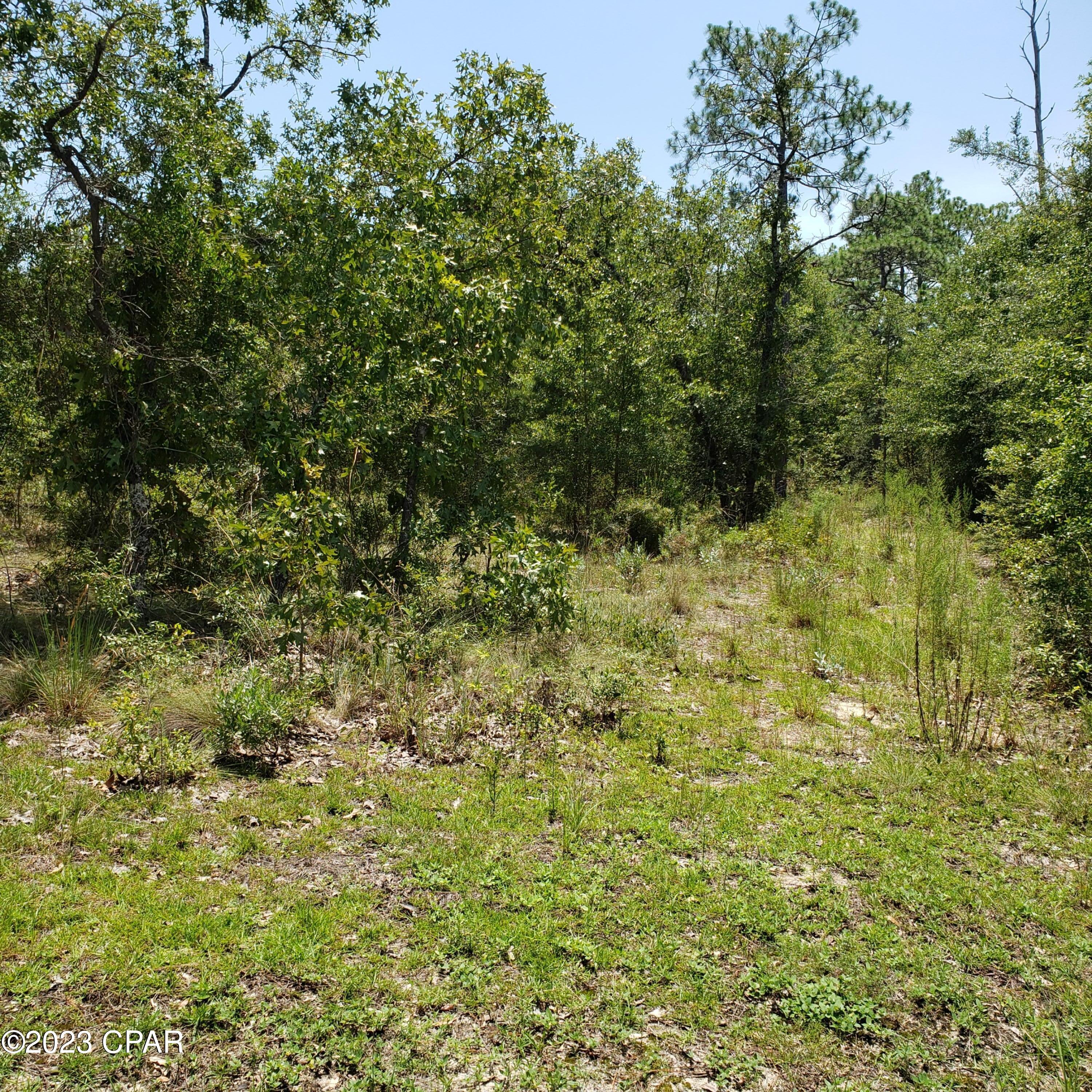 Leisure Lakes 1st Add - Land