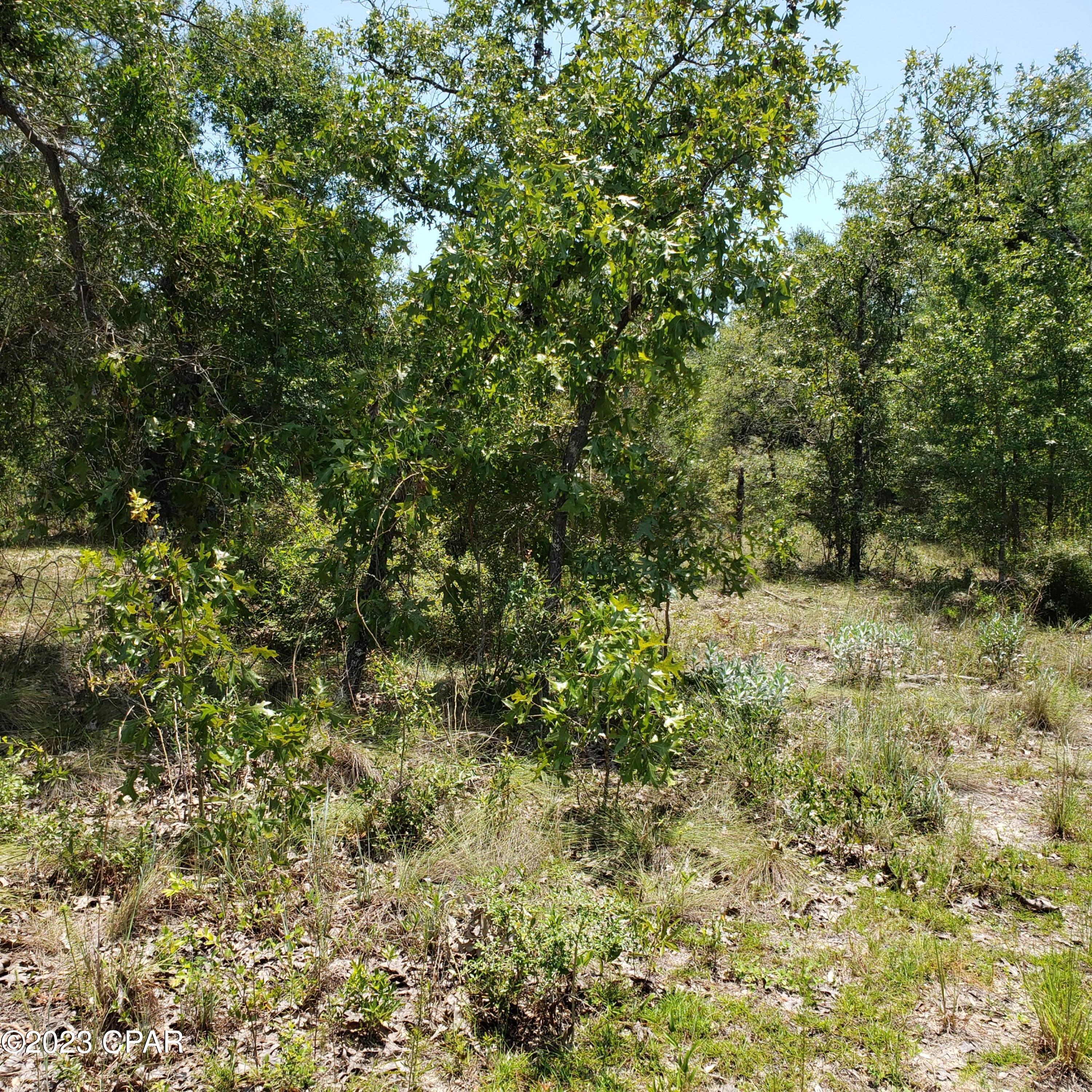 Leisure Lakes 1st Add - Land