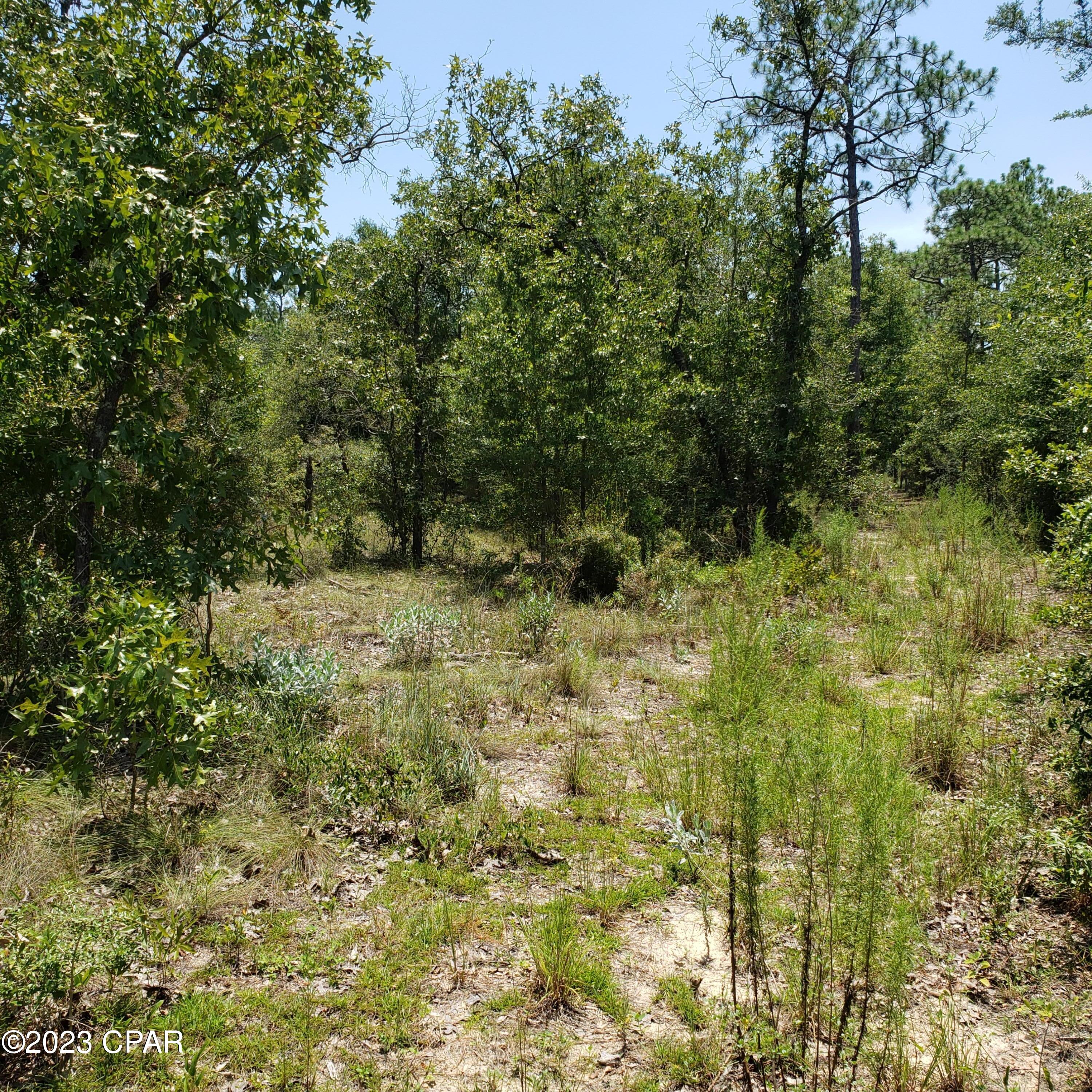 Leisure Lakes 1st Add - Land