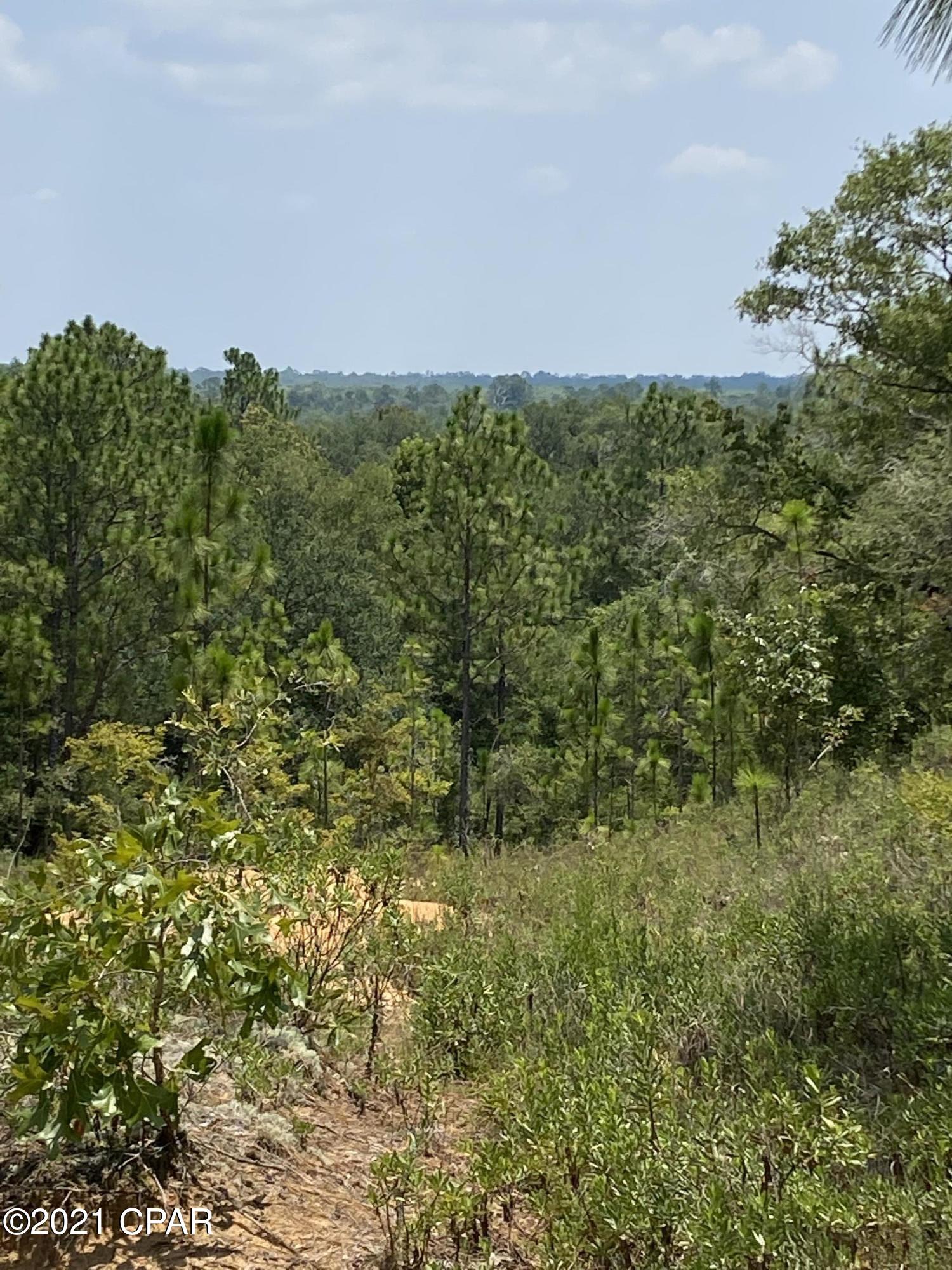 Spanish Lake Estates Unit 1 - Land