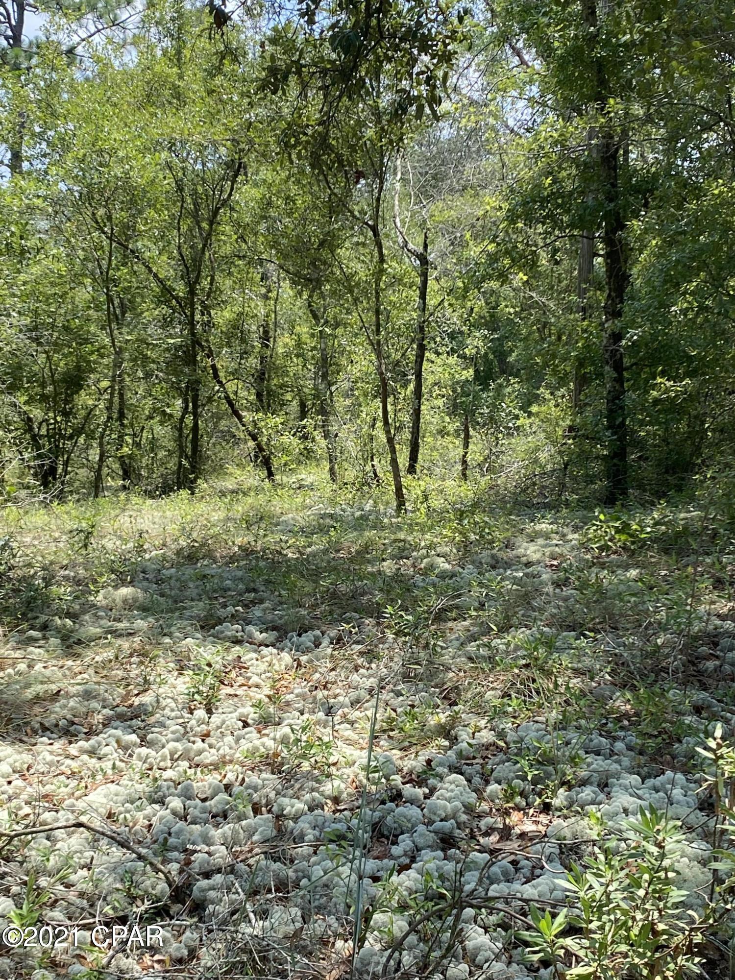 Spanish Lake Estates Unit 1 - Land