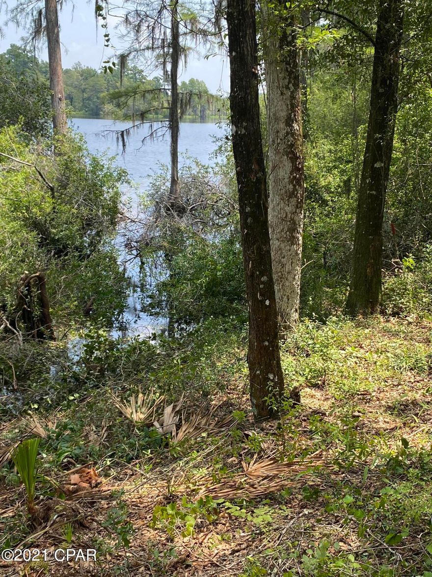 This magnificent property consists of two parcels just off Moss Hill Road with easy access to Panama City, ECP airport and the Worlds most beautiful Beaches! Access the high, dry 12 acres via a paved road. A wide path has been cleared so you can fully appreciate the pristine, natural timber, including mature Oaks,  Magnolias, and Long Leaf Pines. On the left is an undeveloped Platted common area that provides a privacy buffer from the roadway. To the right could be a perfect homesite which would provide a valley view not commonly seen in this area. Continue onto the gently sloping 1.3  acre lakefront lot. Here cypress trees frame the view of Horselot lake accessible only by landowners. There is also access to Bear and Hammock Lakes. Imagine your homesite here with the 12 acres behind you. Clear a portion, or leave it all in its natural state and enjoy the abundant wildlife. No HOA, but subject to recorded restrictions designed to keep your property values high. Survey available. Well and septic needed. Call your agent today to tour this private oasis.