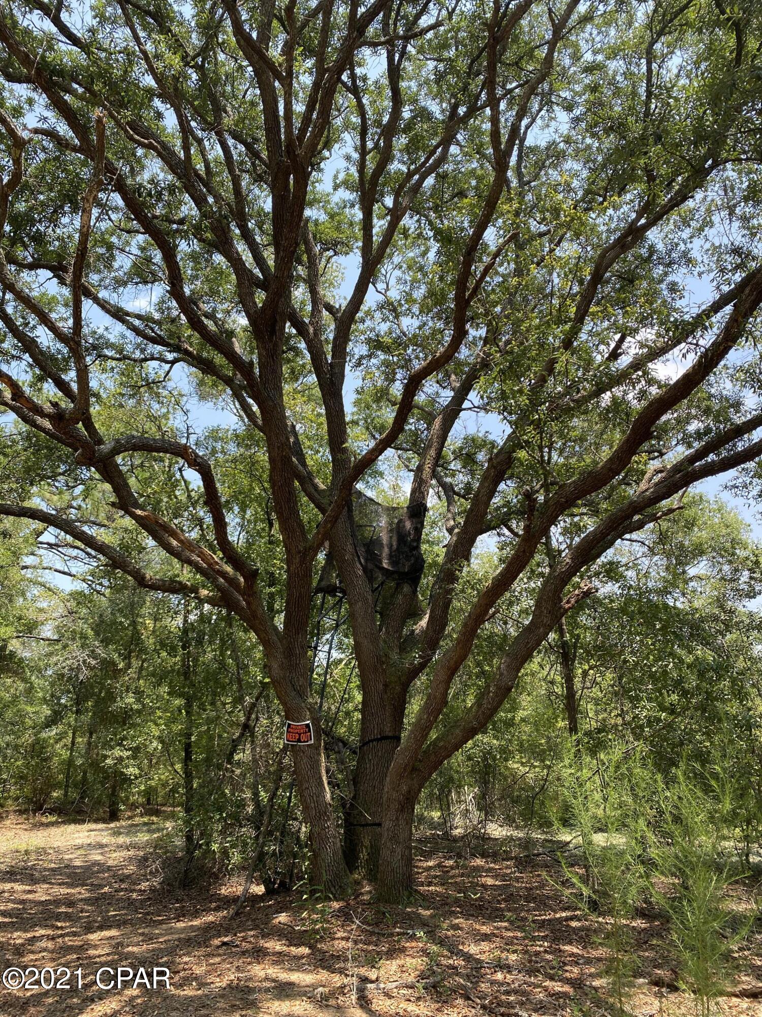 Spanish Lake Estates Unit 1 - Land