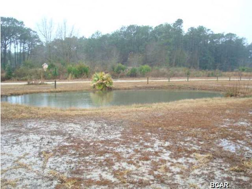 Spacious 3 bdrm 2 bath manufactured double wide mobile home on a huge lot (almost an acre) with a pond. Custom built covered front porch with ramp, open living area with vaulted ceilings, fireplace, separate dining area and great kitchen with a center island. This split floor plan features Master suite with amazing walk in closet & master bath which includes a whirlpool tub and separate shower. Additional 2 bedrooms share a full size bath. Paved circle drive in front and an RV pad in back with 50 amp service and dump station. You must see to appreciate.