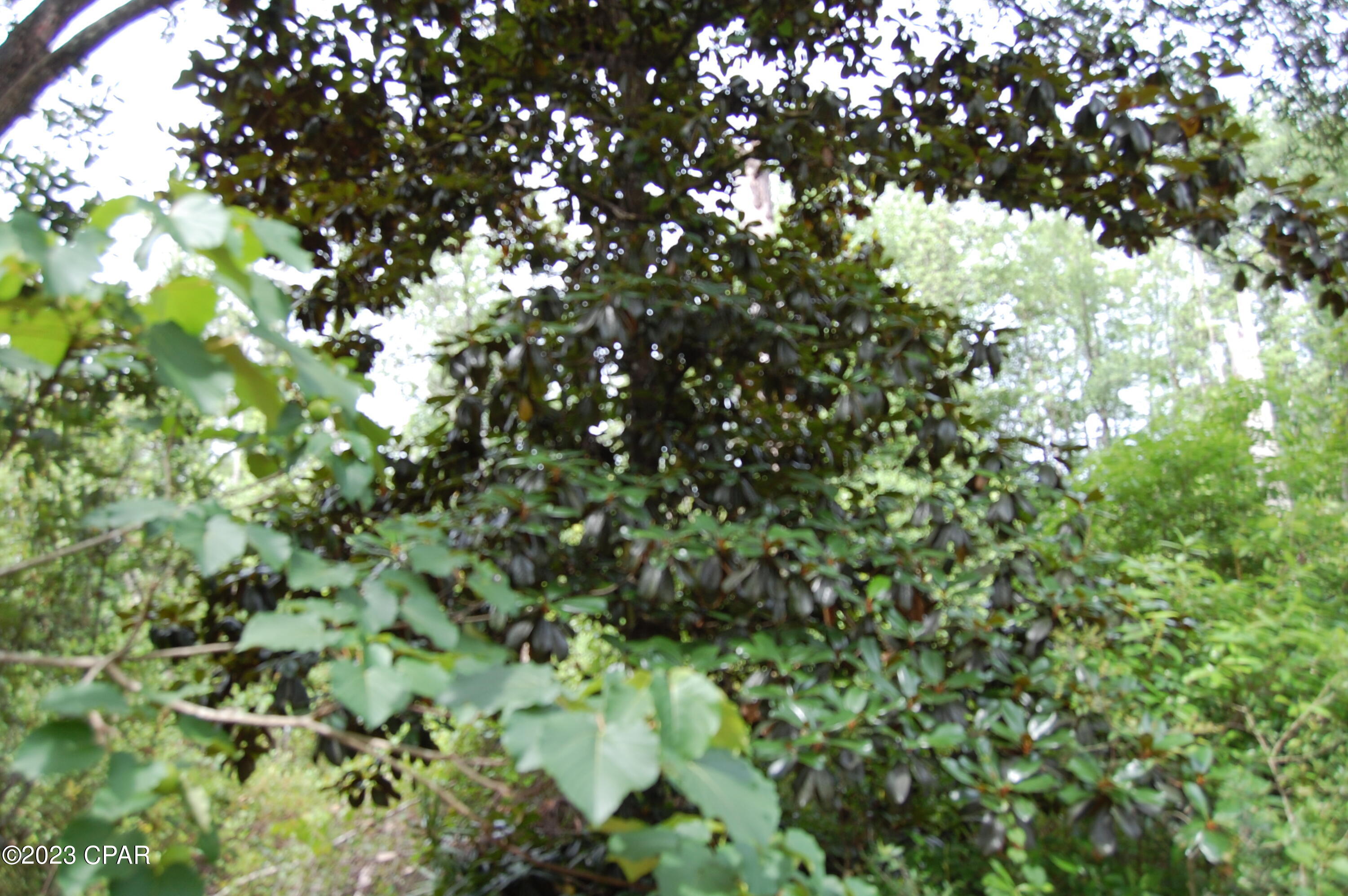 Compass Lake Hills Unit 2 - Residential