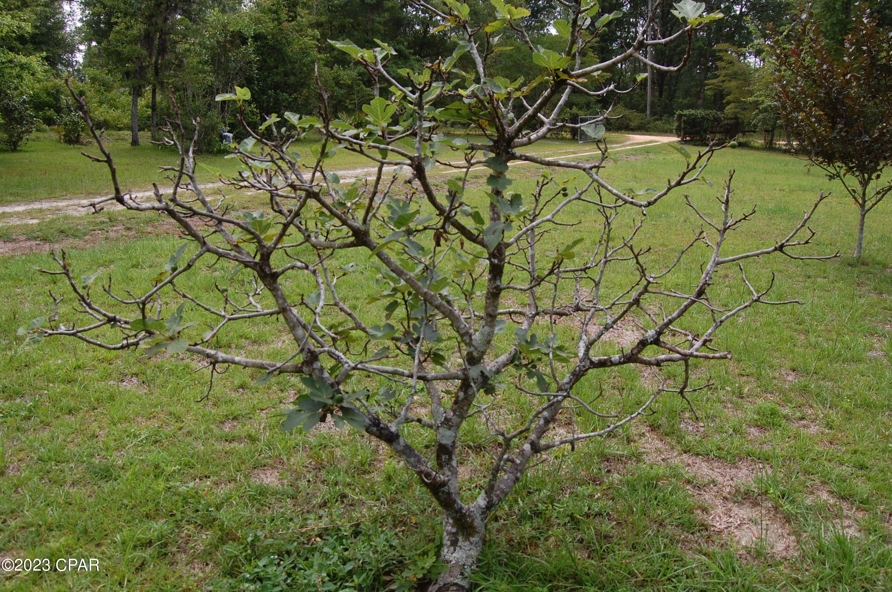 Compass Lake Hills Unit 2 - Residential