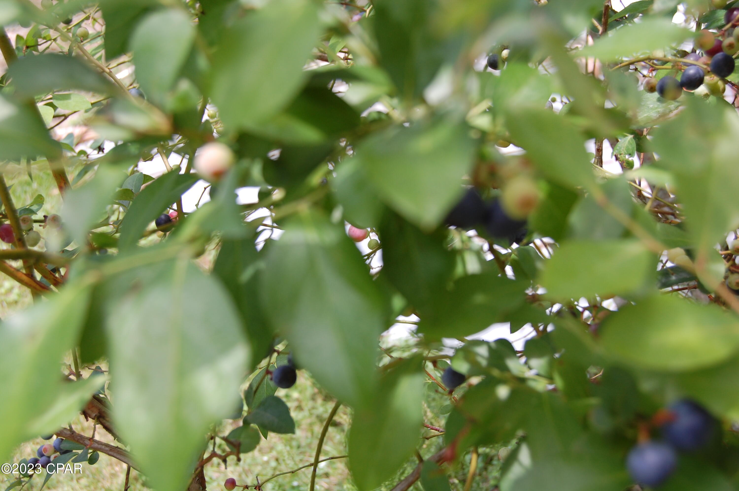 Compass Lake Hills Unit 2 - Residential