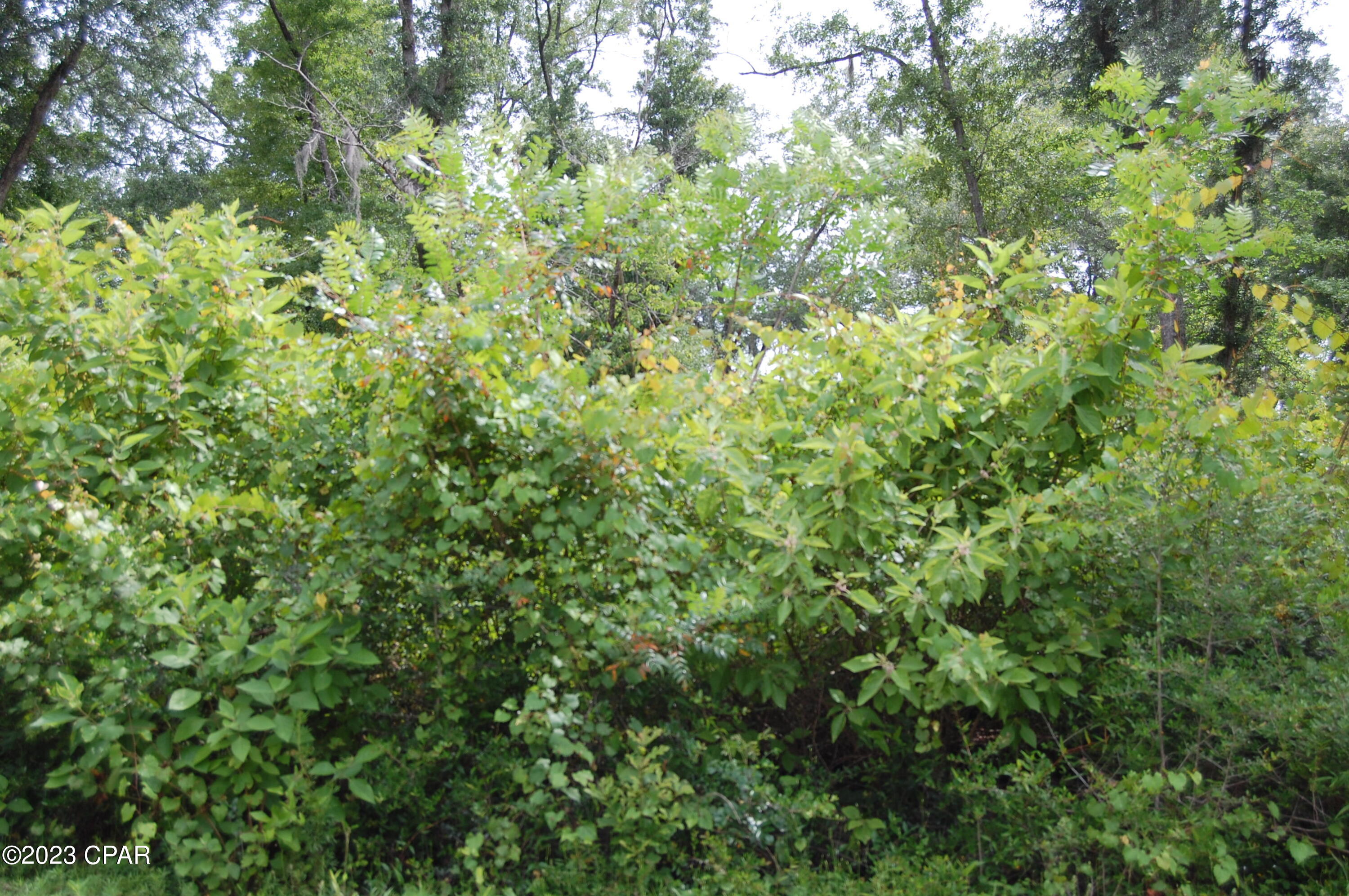 Compass Lake Hills Unit 2 - Residential